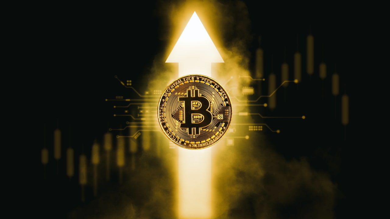 For What Reason Was Bitcoin Developed