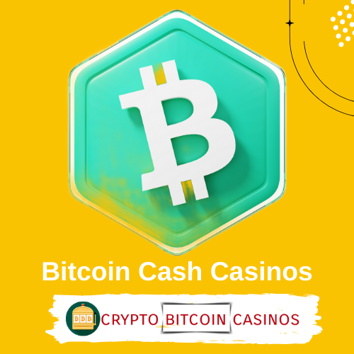 Bitcoin cash casino