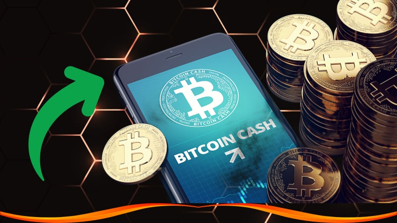 Bitcoin cash casinos deposits withdrawals options