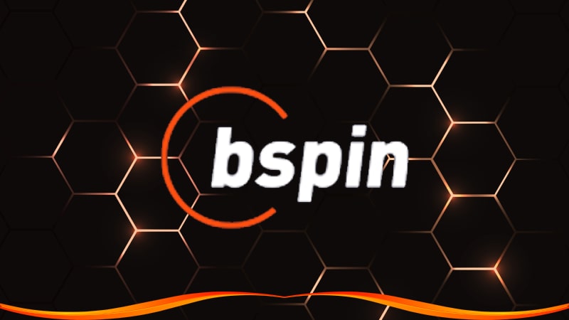 Pros and cons of bspin io