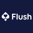 flush caino logo